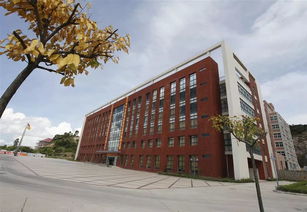 珠海金灣5所本科高校投檔線公布，職業教育培訓助力學子成才